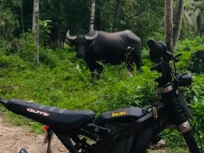 Samui Electric Motorbike 11